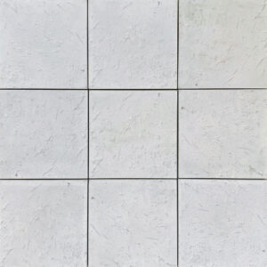 Coral Reef 375 x 375 Paver - Pearl