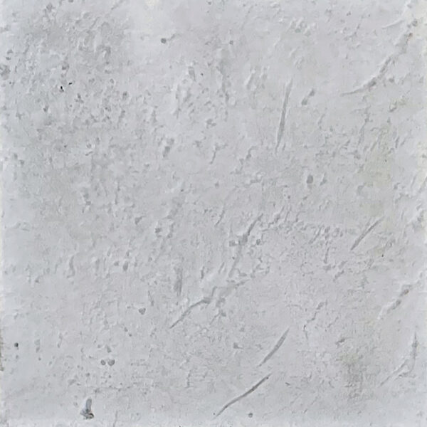 Coral Reef - Fossil
